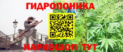 дживик Кинель