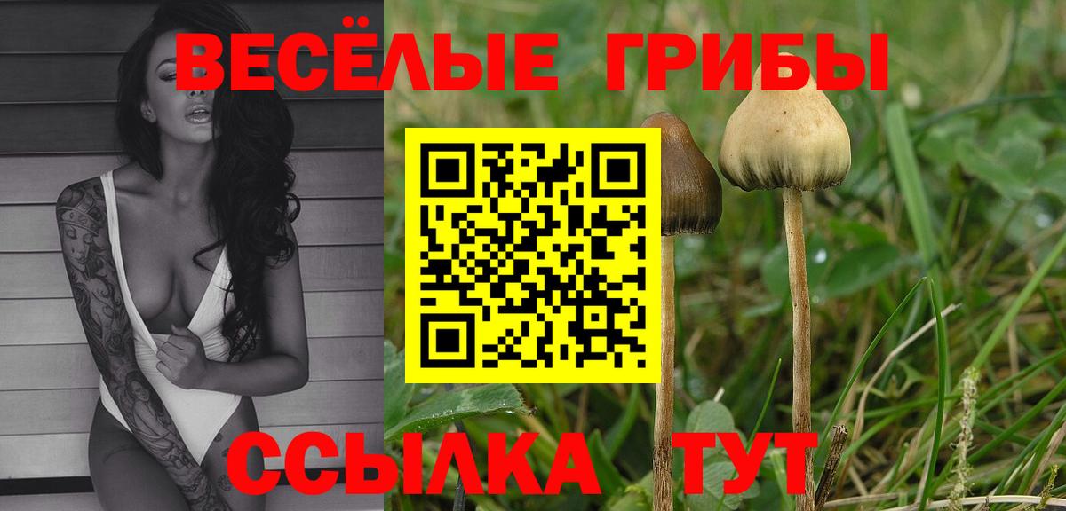 Псилоцибиновые грибы мицелий  Галлюциногенные грибы Magic Shrooms  как найти   Курчатов  Вход с VPN 