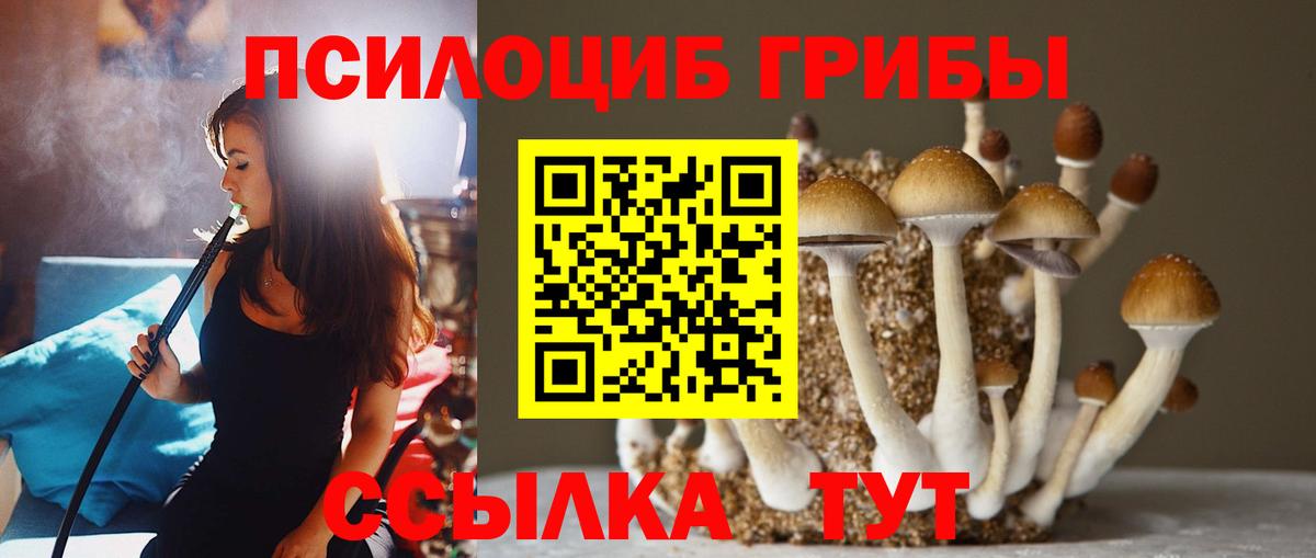 Галлюциногенные грибы прущие грибы Курчатов